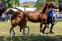 ShermanRanch0524_1519