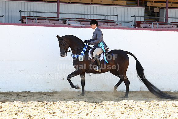 R2_22_Sat_7055