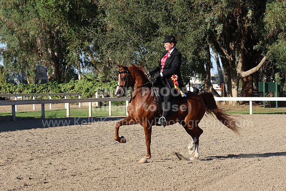 DAHA_FF22_3545
