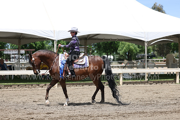 DAHA22_Thurs_0992