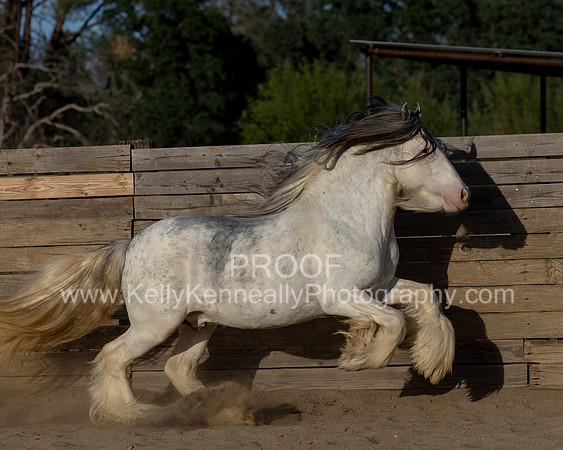 ThunderMay25_3400