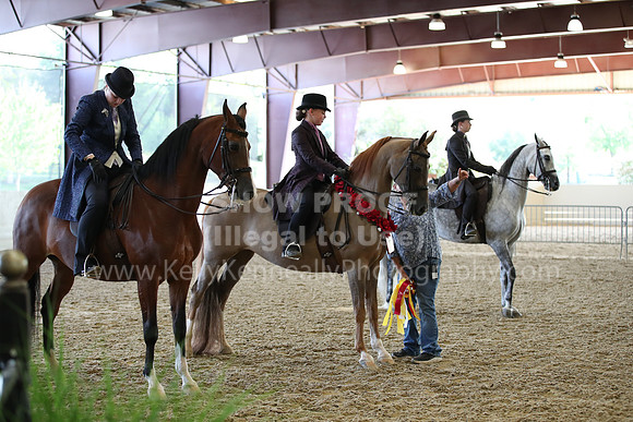 AHANC22_Fri_1519