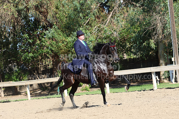 DAHA_FF22_1585