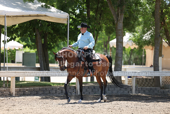 DAHA22_Thurs_0999
