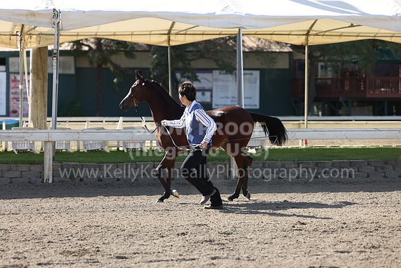 DAHA22_Fri_1676