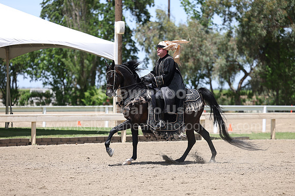 DAHA22_Thurs_1103