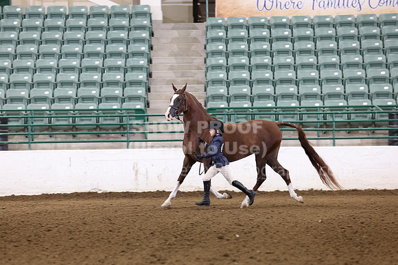R322_CH_Thurs_2351