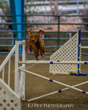 SCAC_Nov17Day3_11450