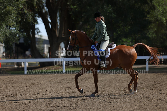 DAHA22_Thurs_0368