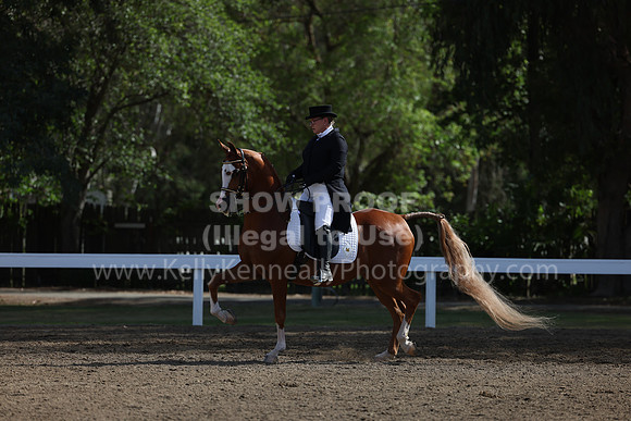 DAHA22_Thurs_0622