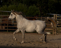 NechoMay25_4017