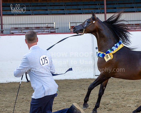 R2_22_Thurs_7507fb