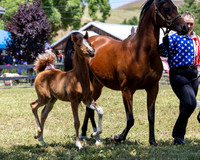 ShermanRanch0524_1064