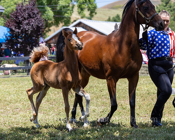 ShermanRanch0524_1064