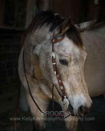 Kellie&Dusty22_0057