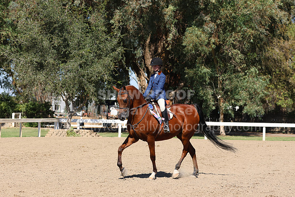 DAHA_FF22_3158