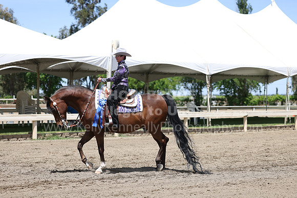DAHA22_Thurs_0989