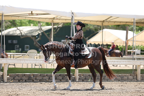 DAHA22_Thurs_0964