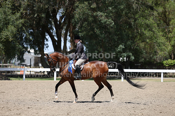DAHA22_Thurs_1301