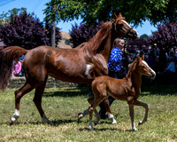 ShermanRanch0524_1535