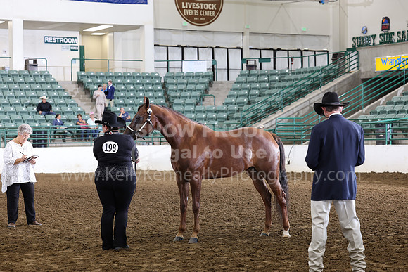 R322_CH_Thurs_2395