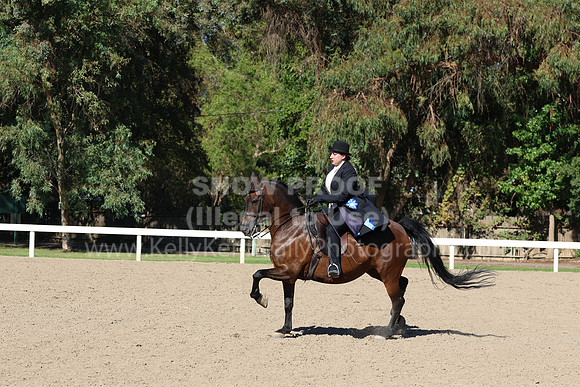 DAHA_FF22_1596
