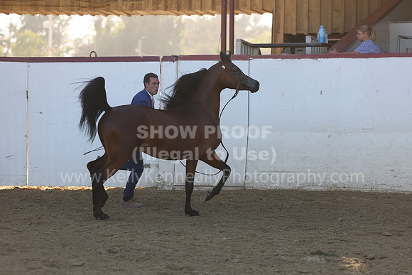 R2_22_Thurs_6231