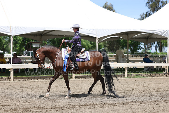 DAHA22_Thurs_0991