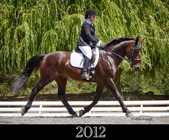 2012_KKPwebsite_82_6949