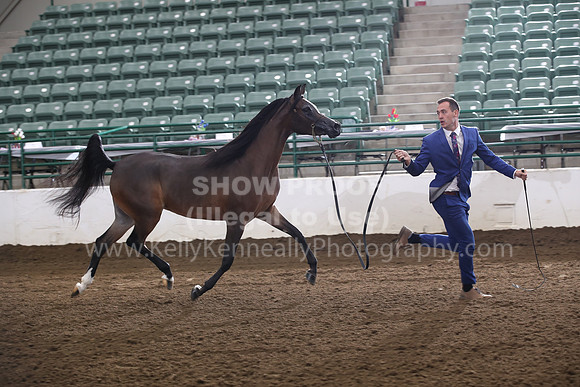R322_CH_Tues_2150
