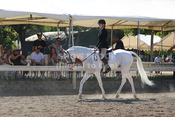 DAHA_FF22_2555