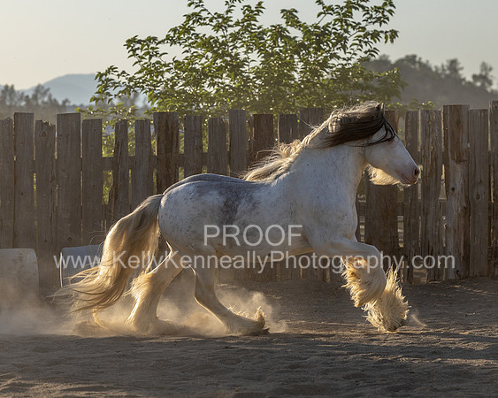 ThunderMay25_3412