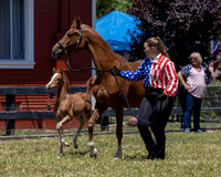 ShermanRanch0524_1680