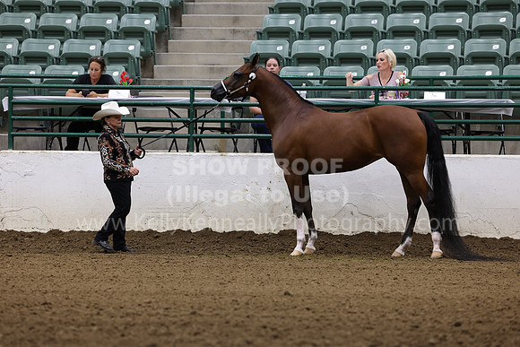 R322_CH_Thurs_2647