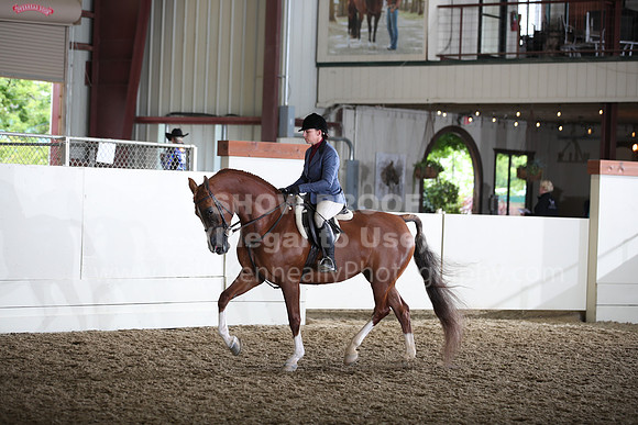 AHANC22_Thurs_1195