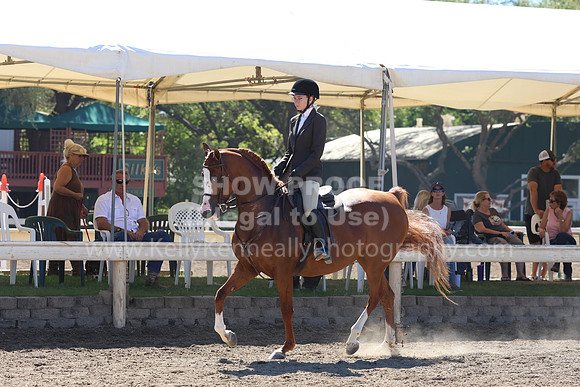 DAHA_FF22_2658