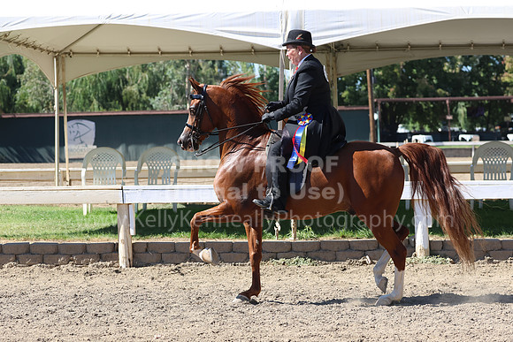 DAHA_FF22_5536