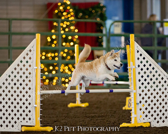 SCAC_Nov17Day1_0533