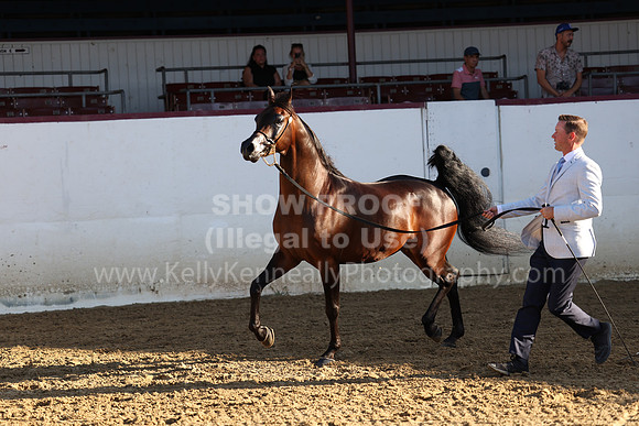 R2_22_Thurs_6784
