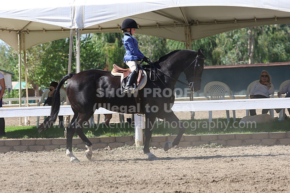 DAHA_FF22_3140
