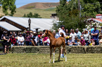 ShermanRanch0524_1095