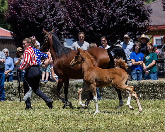 ShermanRanch0524_0940
