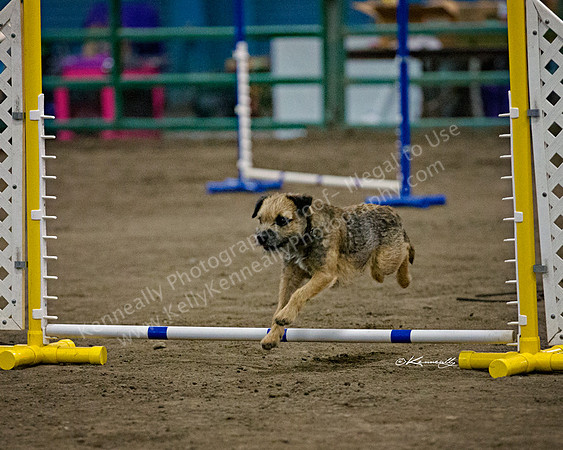 SCAC_Nov17Day2_8565