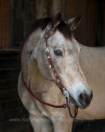 Kellie&Dusty22_0175