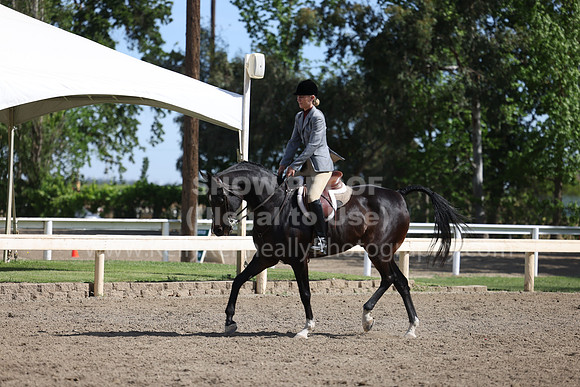 DAHA22_Thurs_0692