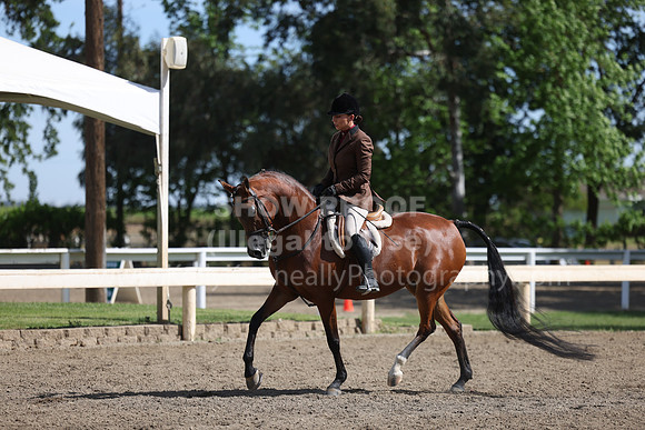 DAHA22_Thurs_0695