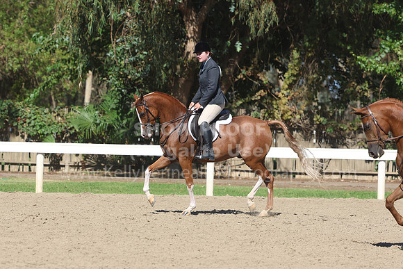 DAHA_FF22_1437