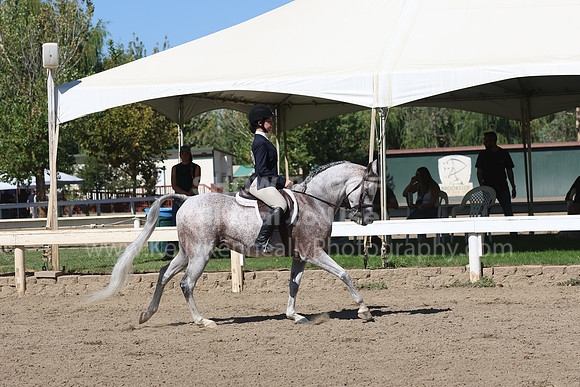 DAHA_FF22_2593