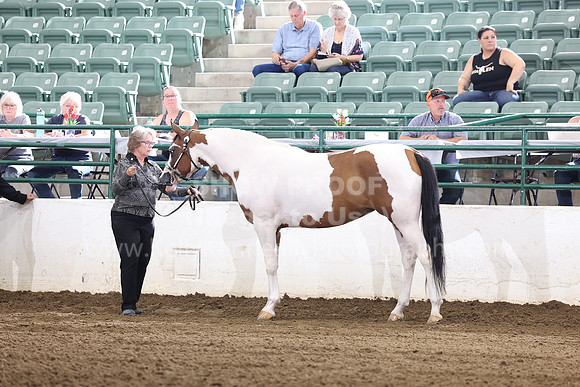 R322_CH_Thurs_2696