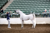 R322_CH_Tues_2256